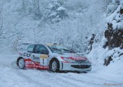 Peugeot 206 Rally